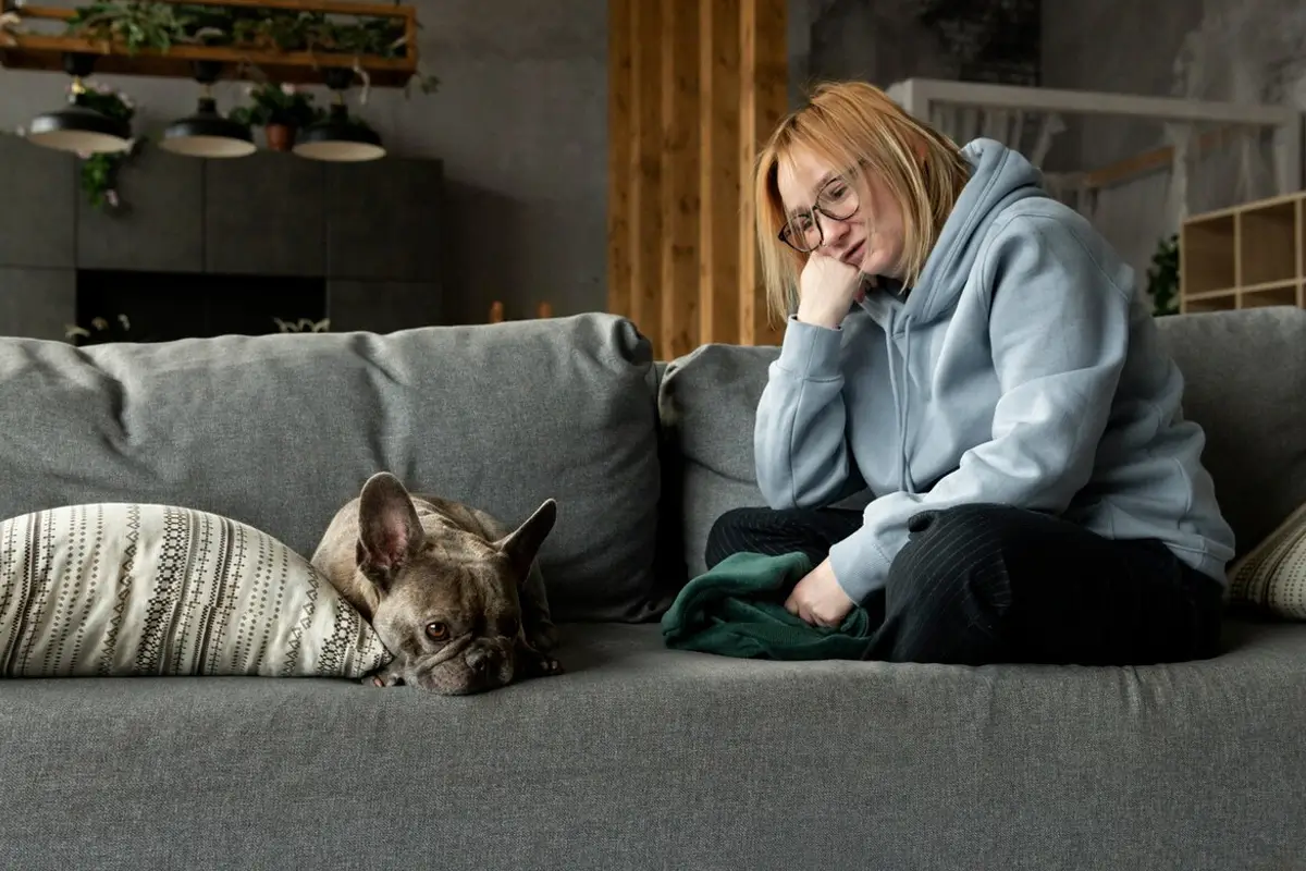 Does Your Dog Have Separation Anxiety? Signs and Solutions for Busy Greenwich Owners