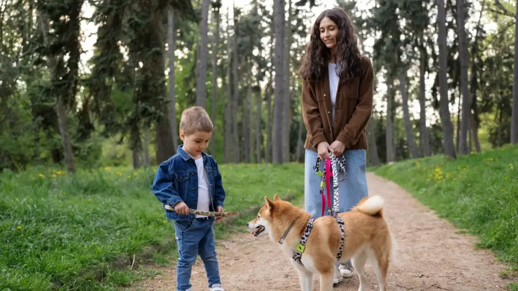 The Simple Math of Dog Walking: An Hour for You, an Adventure for Them
