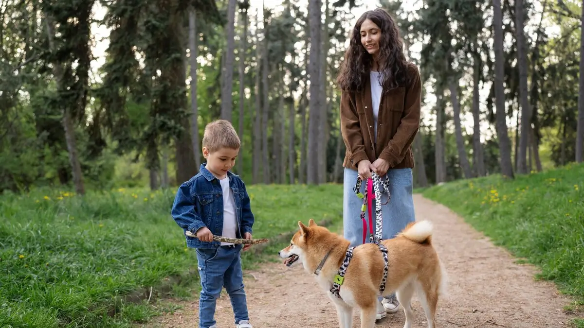 The Simple Math of Dog Walking: An Hour for You, an Adventure for Them