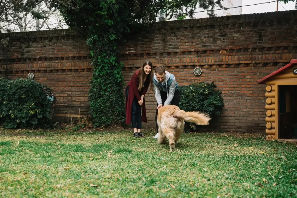 Why In-Home Boarding is a "Home Away From Home" for Your Greenwich Dog