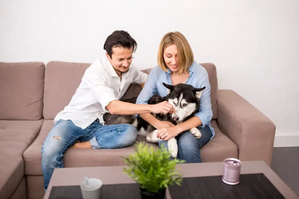 Scarsdale & White Plains: Why In-Home Boarding is the Top Choice for Pet Parents