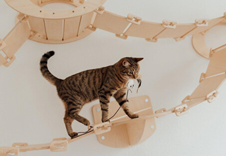 Create-Vertical-Spaces-Img Create-Vertical-Spaces-Img