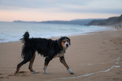 How-Routine-Can-Help-Img