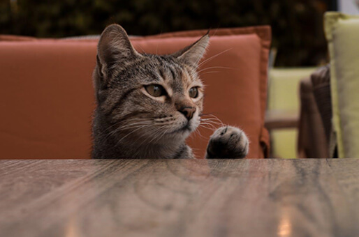 Listening-Builds-Connection-Img