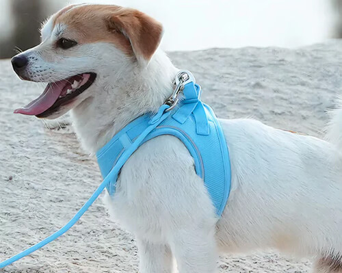 Step-In-Harnesses-Img Step-In-Harnesses-Img