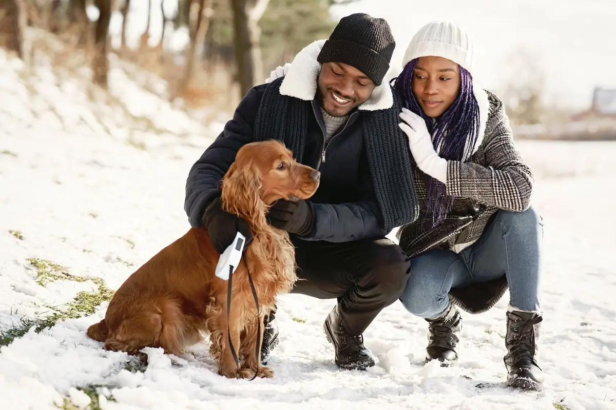 What-Kind-of-Dogs-Do-Well-in-Cold-Weather-Featured