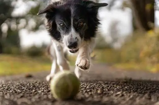 Familiar-Patterns-Build-Confidence