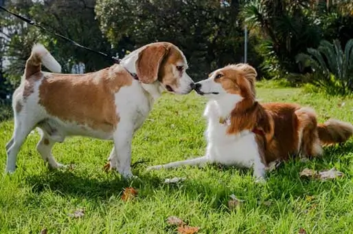 Its-Not-About-Rushing Its-Not-About-Rushing