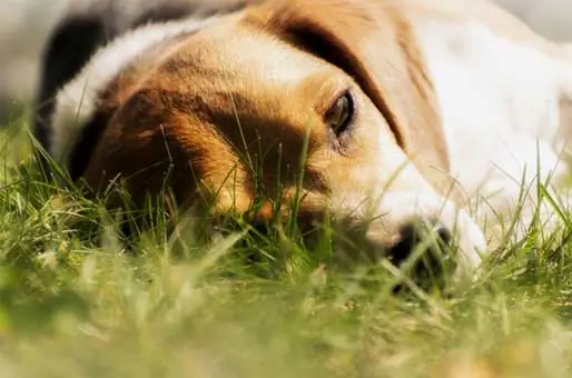 New-Environments-Can-Be-Stimulating