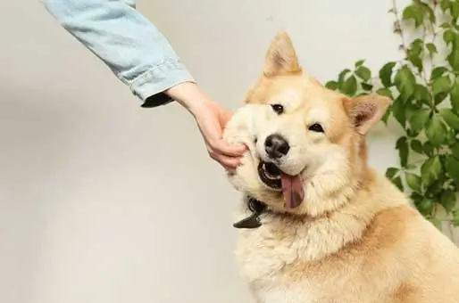 Stability-During-Change