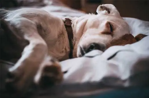 Walks-Use-Mental-Energy