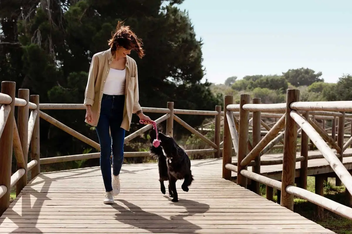 Why-Consistency-Matters-More-Than-Distance-on-Walks-Featured