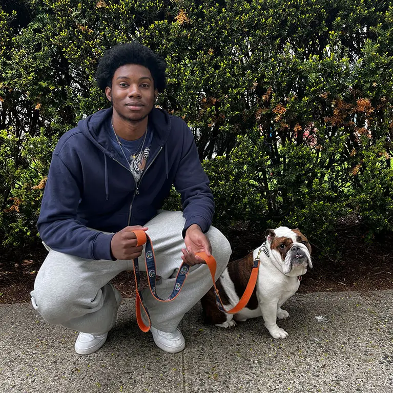 Ahmad-Pet-Companions