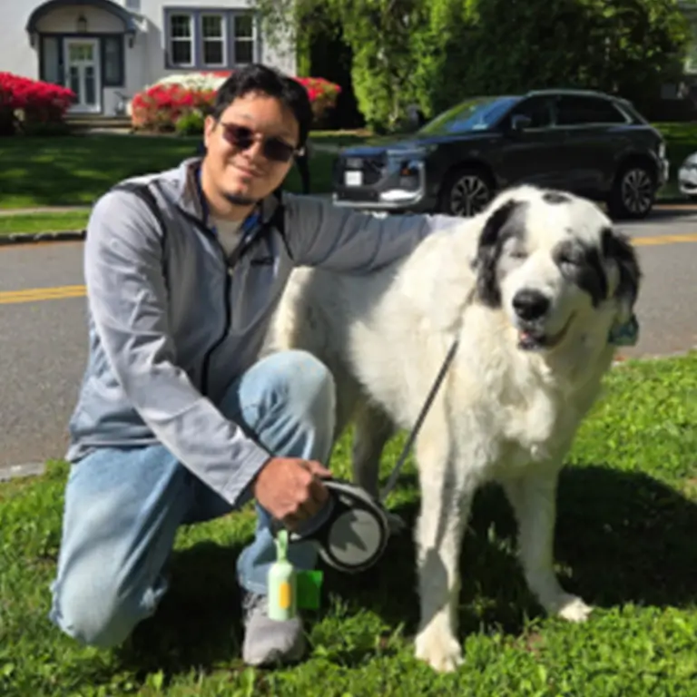 David-Pet-Companion