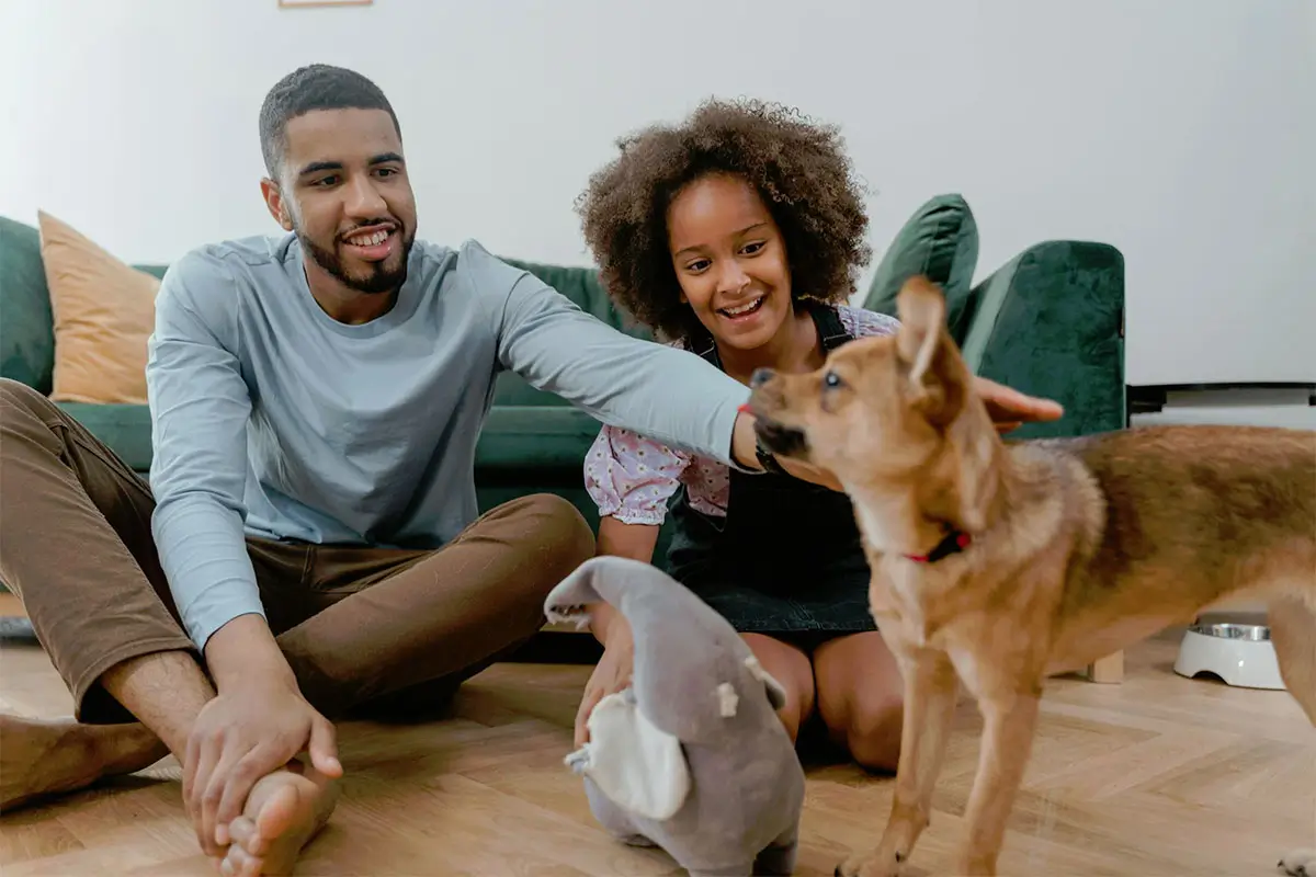 How-Pets-in-Scarsdale,-NY-Balance-Structure-and-Flexibility-Featured