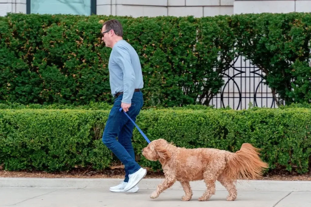 Pets and Their Sense of Place