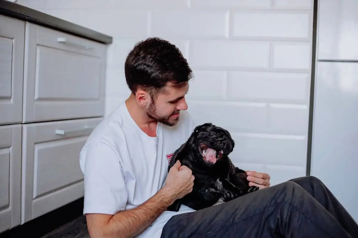 Why-Some-Pets-Are-More-Routine-Oriented-Than-Others-Featured