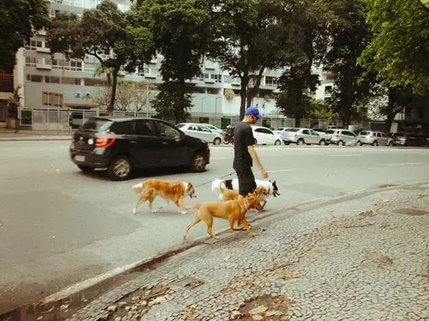 Every-Walk-Has-Its-Own-Personality Every-Walk-Has-Its-Own-Personality