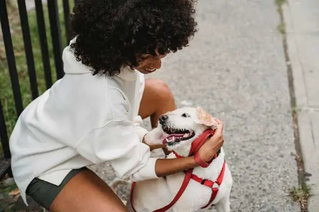 It's-Also-About-Supporting-Pet-Owners It's-Also-About-Supporting-Pet-Owners