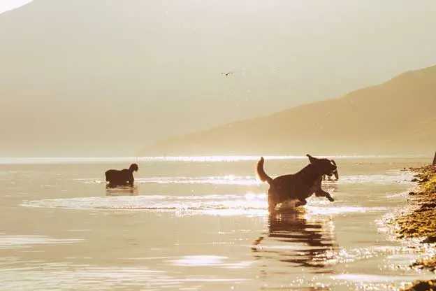 One-of-Our-Favorite-Parts-of-Summer One-of-Our-Favorite-Parts-of-Summer