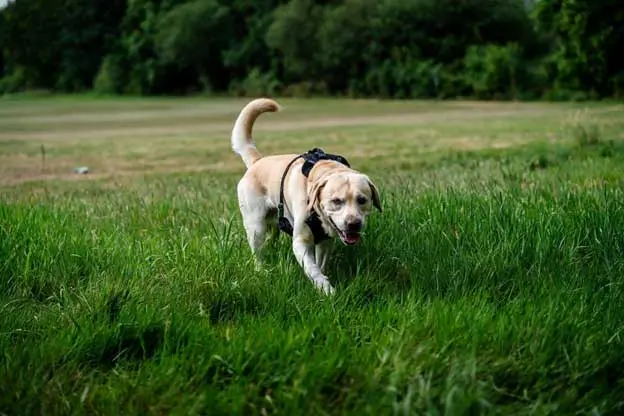 Summer-Brings-New-Smells Summer-Brings-New-Smells
