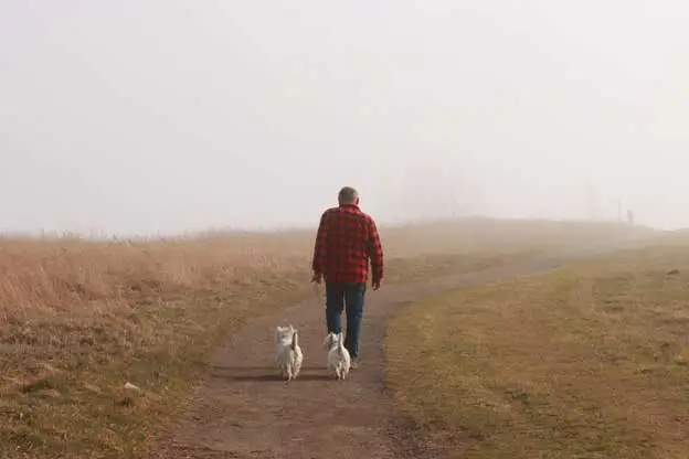 Walks-Often-Become-Less-About-Distance Walks-Often-Become-Less-About-Distance